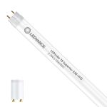 Ledvance LED Tube T8 Superior (EM/Mains) High Output 6.3W 1100lm - 865 Daylight | 60cm - Replaces 18W