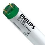 Philips MASTER TL-D ECO 51W - 830 Warm White | 150cm