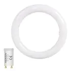 Noxion LED Tube T9 Avant Circular (EM/Mains) 12W 1200lm - 840 Cool White | Replaces 22W
